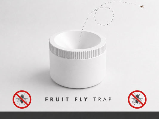 Skushy fruitvliegenval met trechteropening voor keuken - 55 x 44 mm