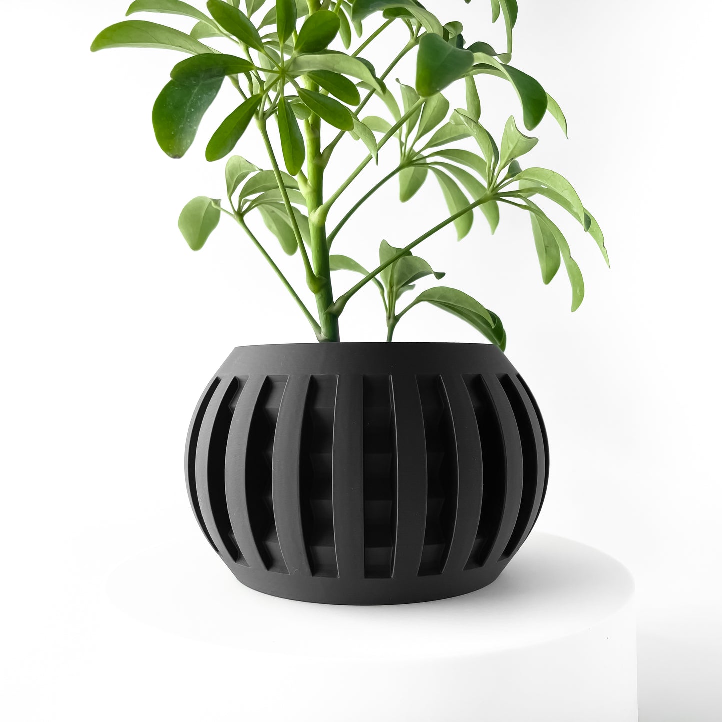 Designer Skushy Amada Bloempot