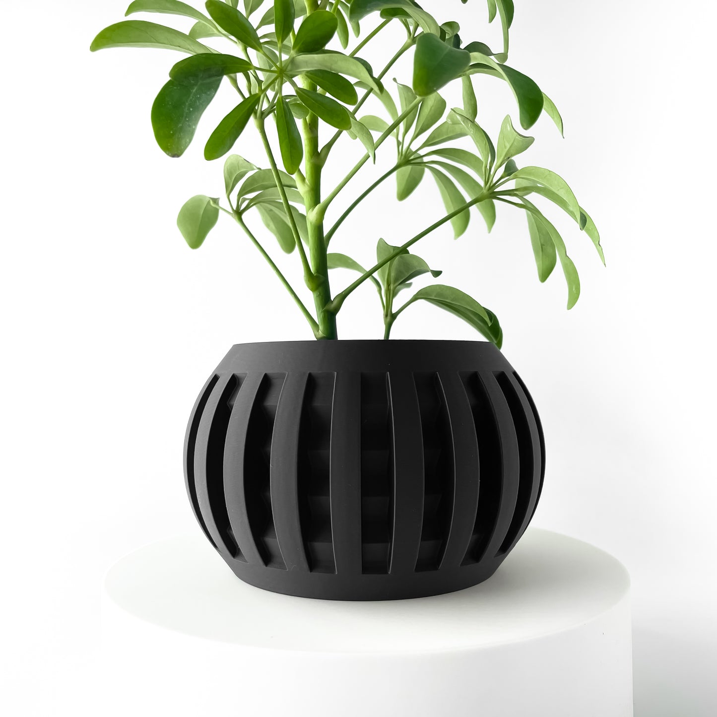 Designer Skushy Amada Bloempot