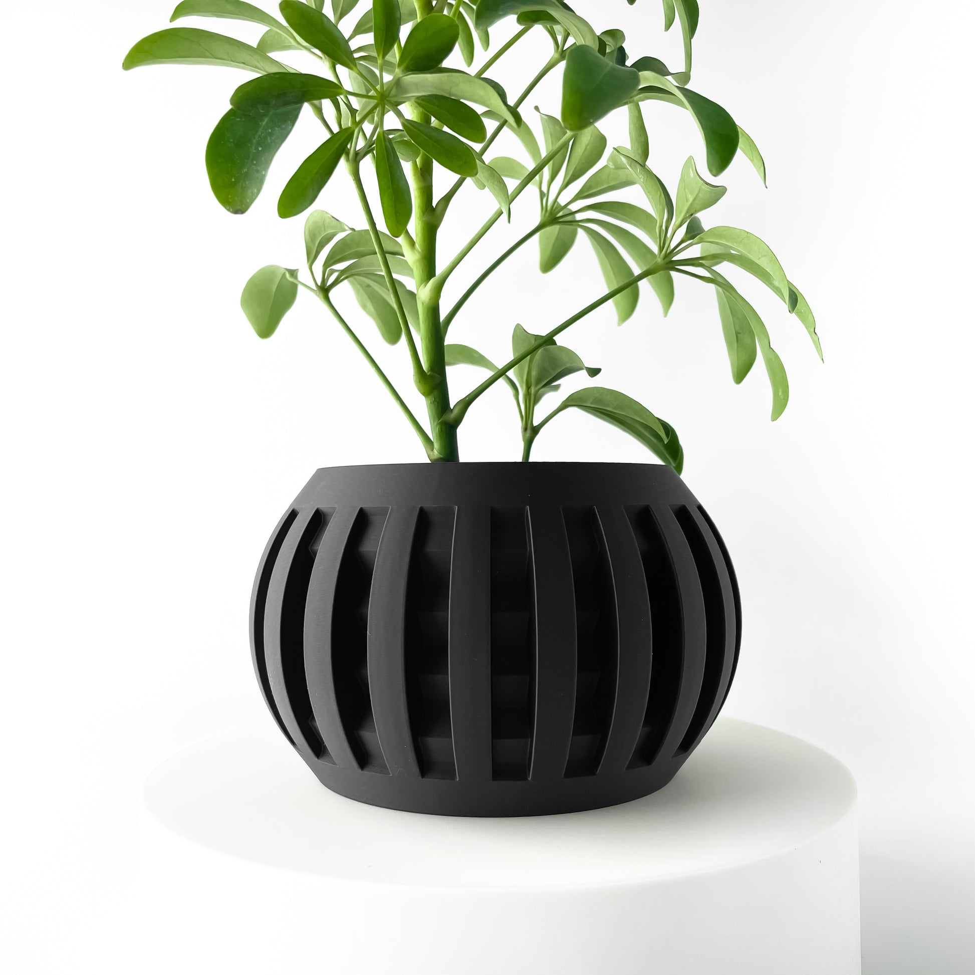 Designer Skushy Amada Bloempot