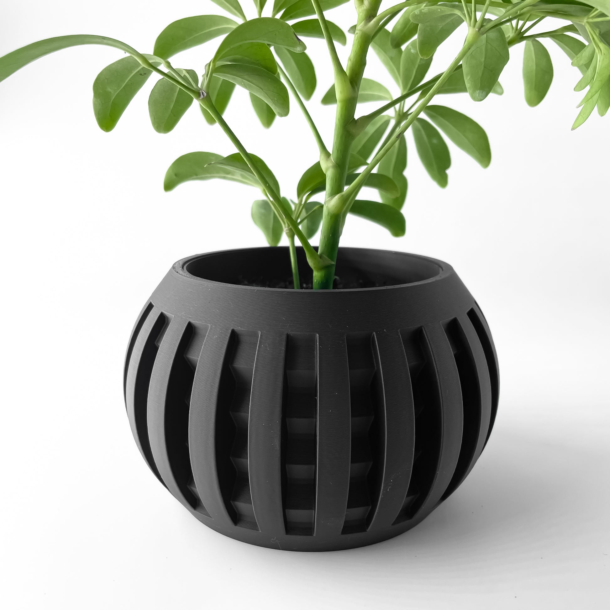 Designer Skushy Amada Bloempot