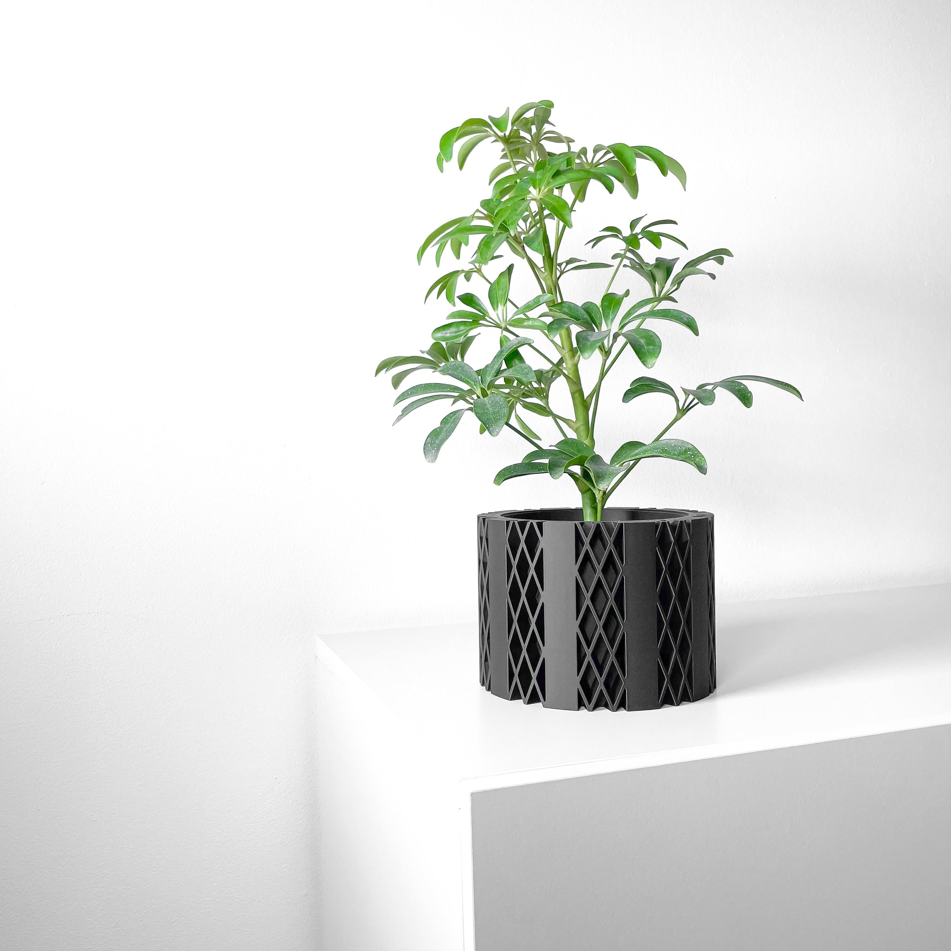Designer Skushy Arven Bloempot