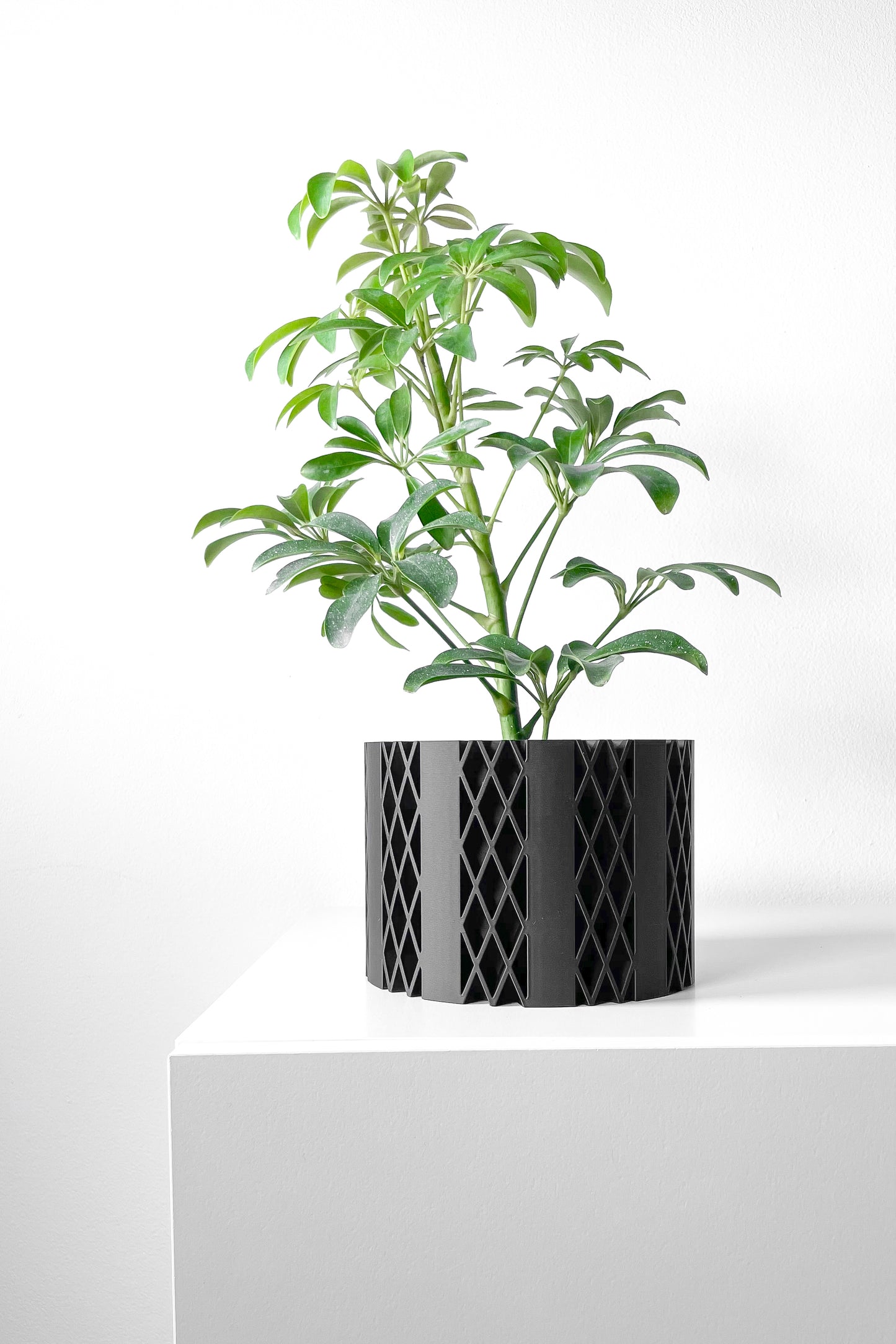 Designer Skushy Arven Bloempot