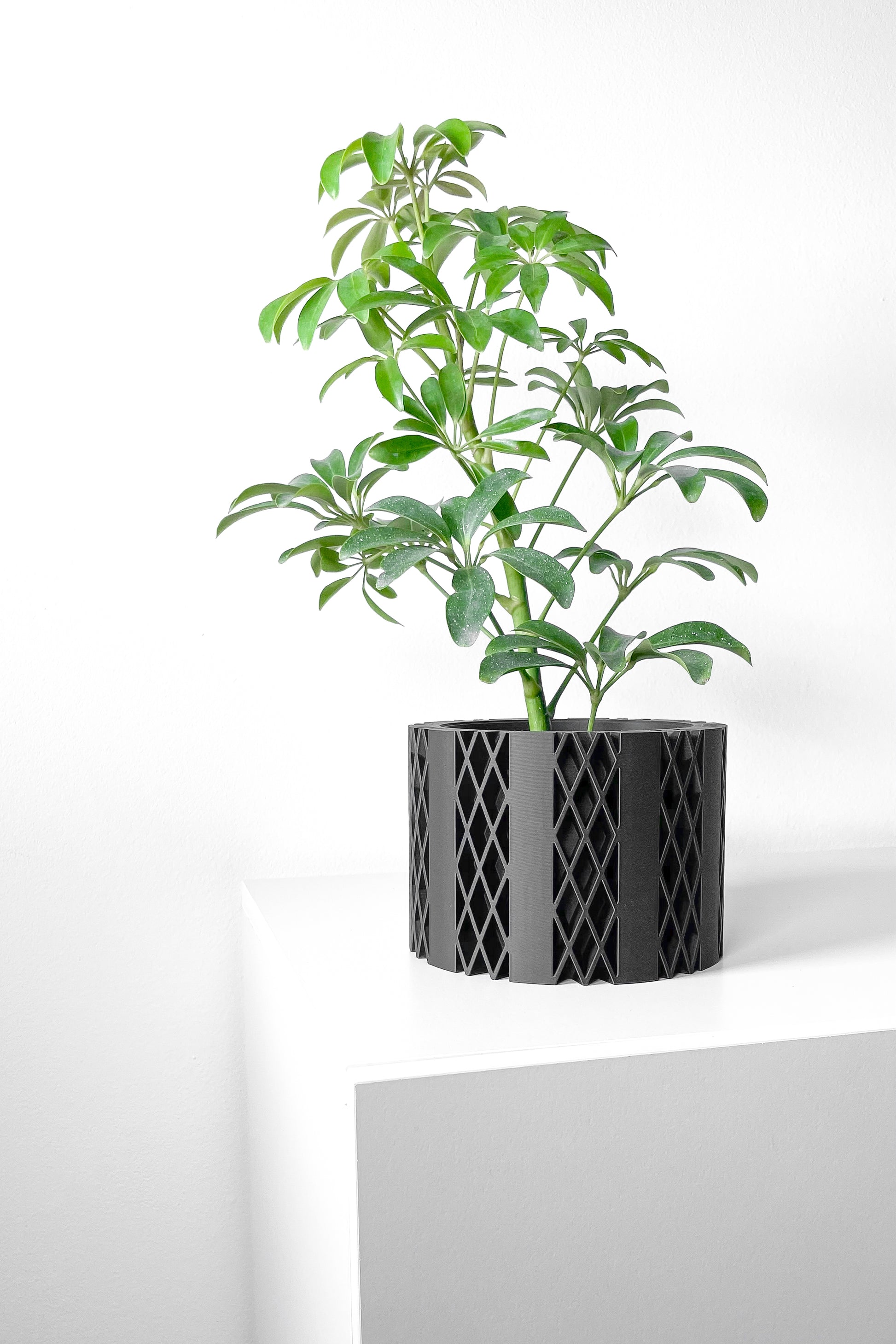 Designer Skushy Arven Bloempot