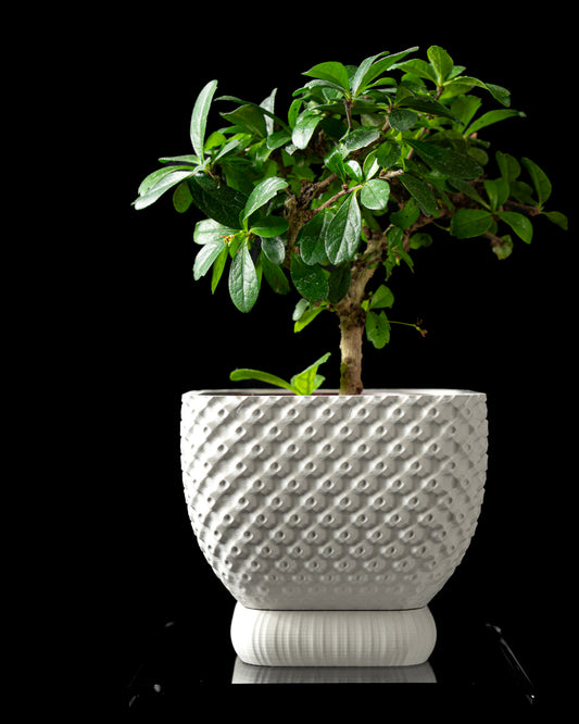 Designer Connectplanter Bloempot