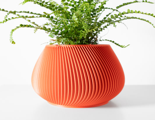 Designer Davi Bloempot