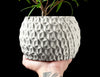 Skushy Hexa Bloempot
