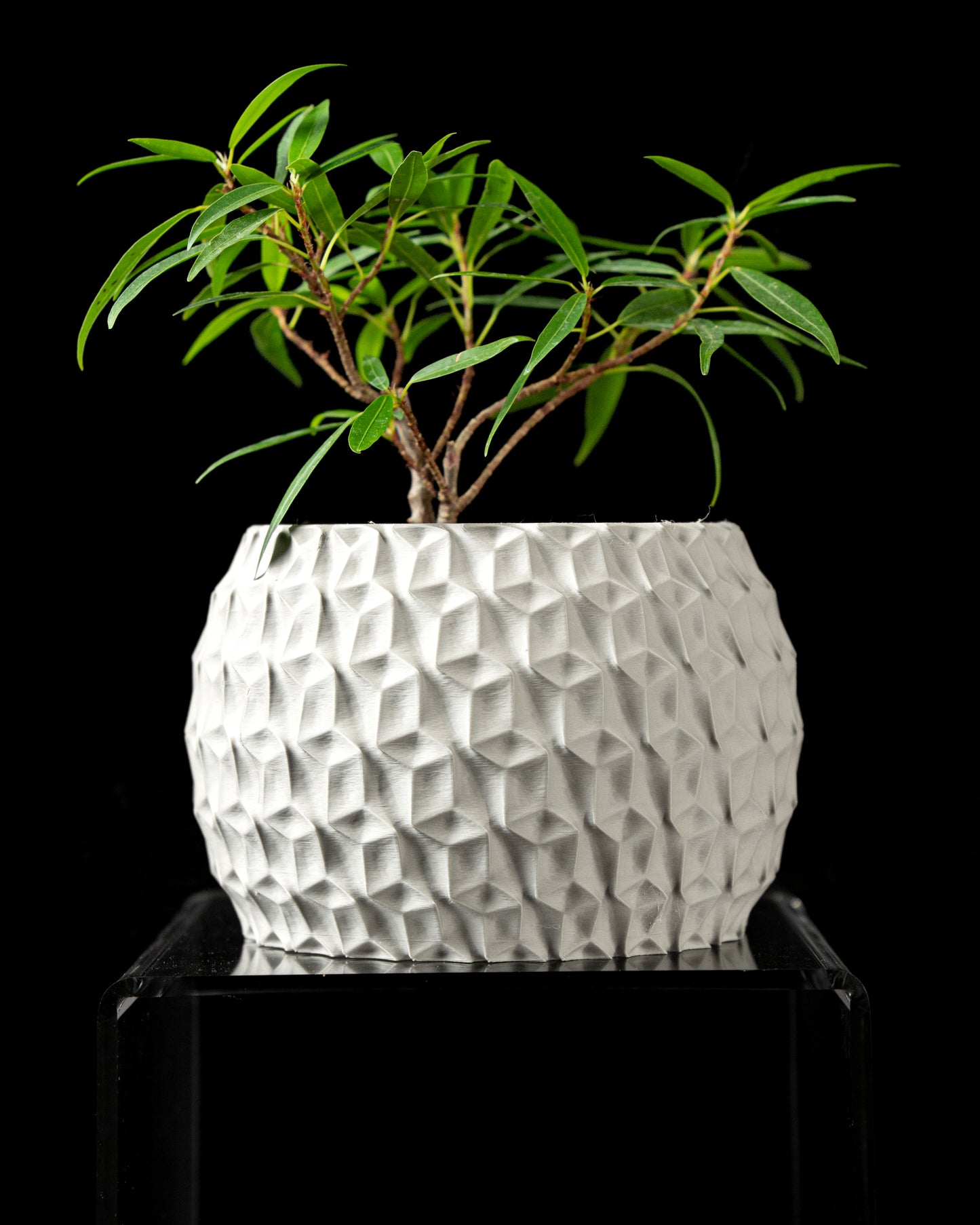 Designer Hexa Bloempot