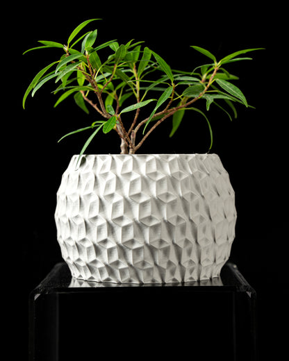 Designer Hexa Bloempot