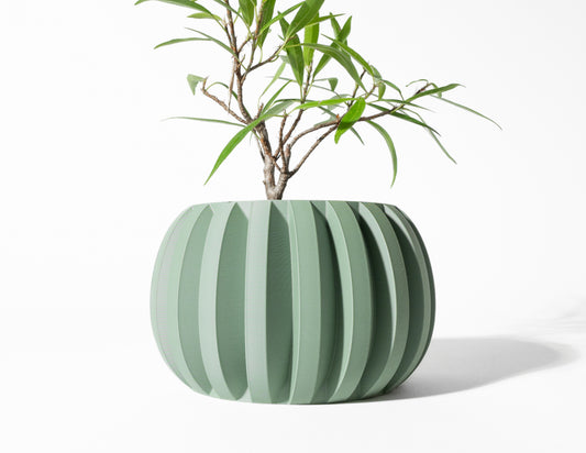 Designer Jone Bloempot
