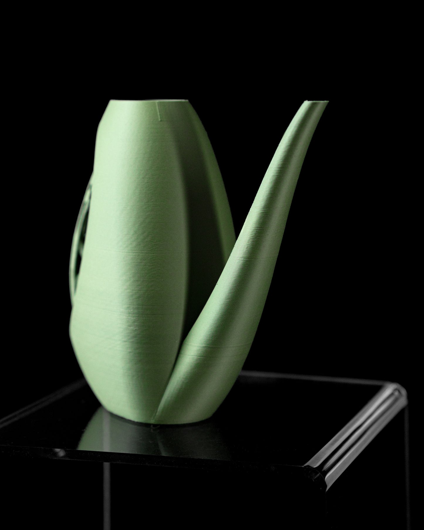 Designer Skushy Mantis Gieter