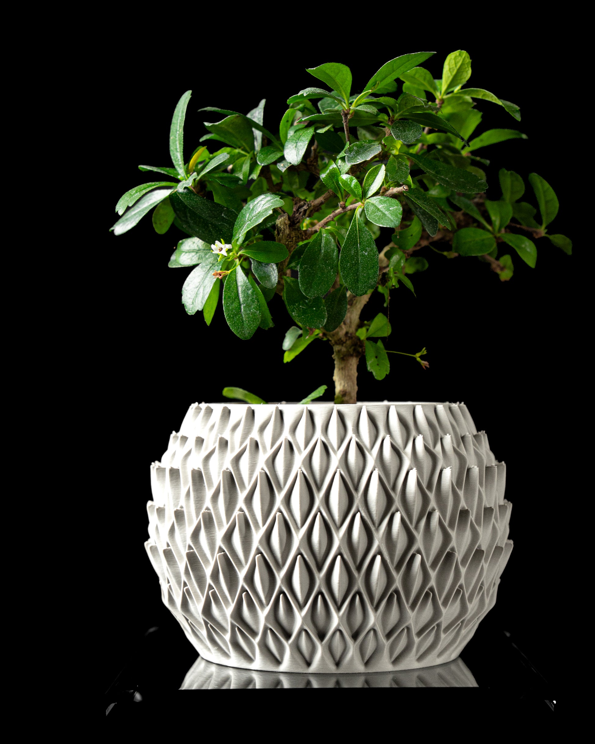 Skushy Petalplanter Bloempot