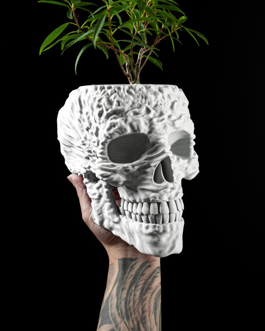 Skushy Skull Bloempot