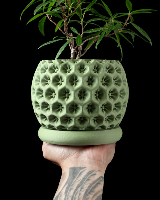Skushy Starry Bloempot