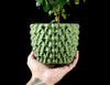 Skushy Triwaveplanter Bloempot