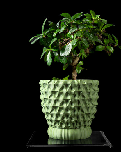 Skushy Triwaveplanter Bloempot