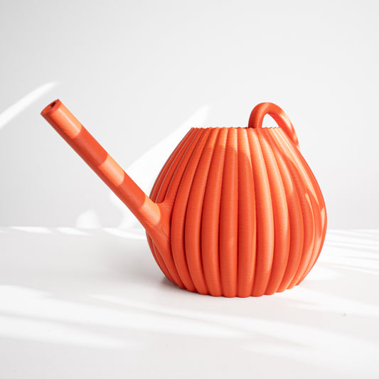 Designer Skushy Vason Gieter