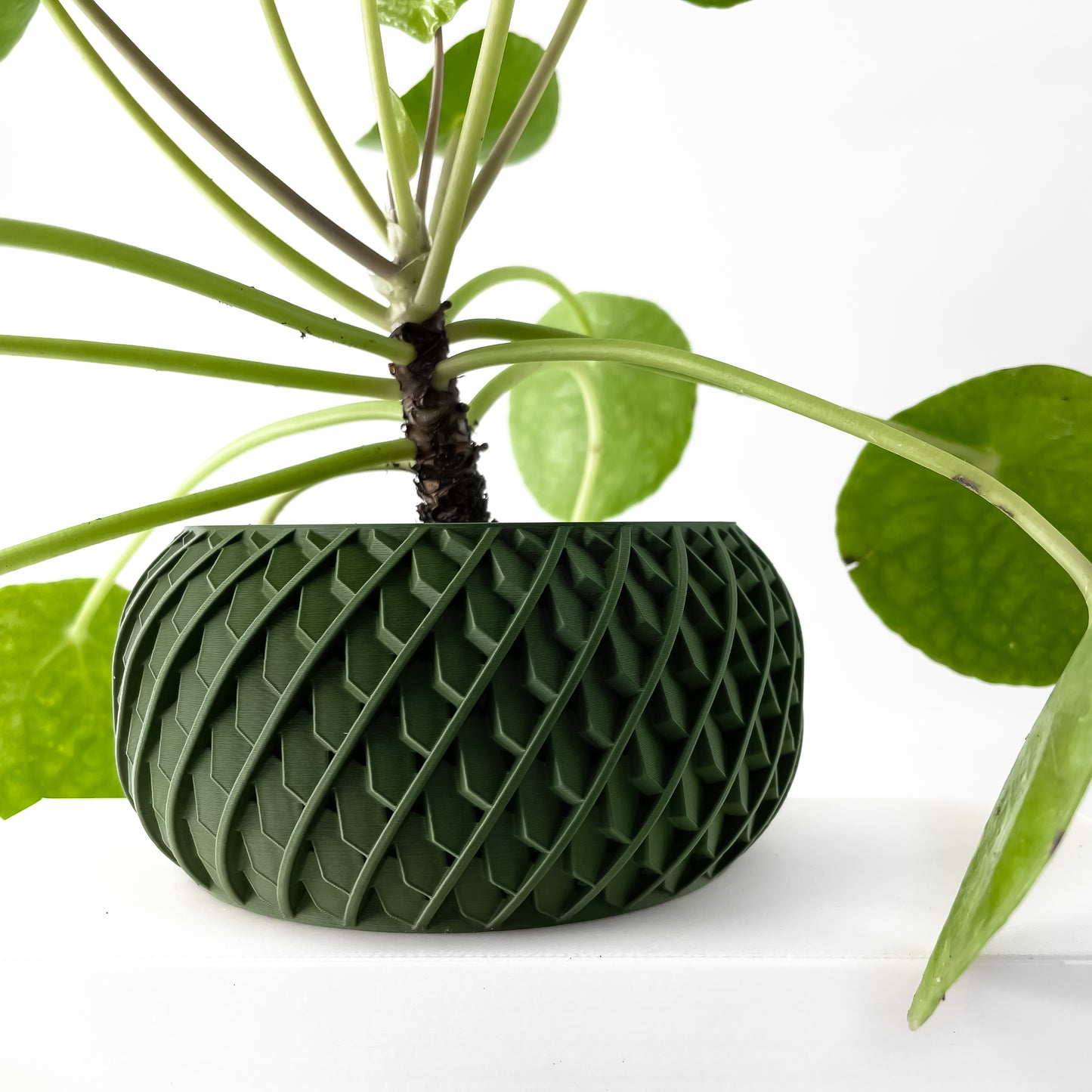 Designer W13 Bloempot