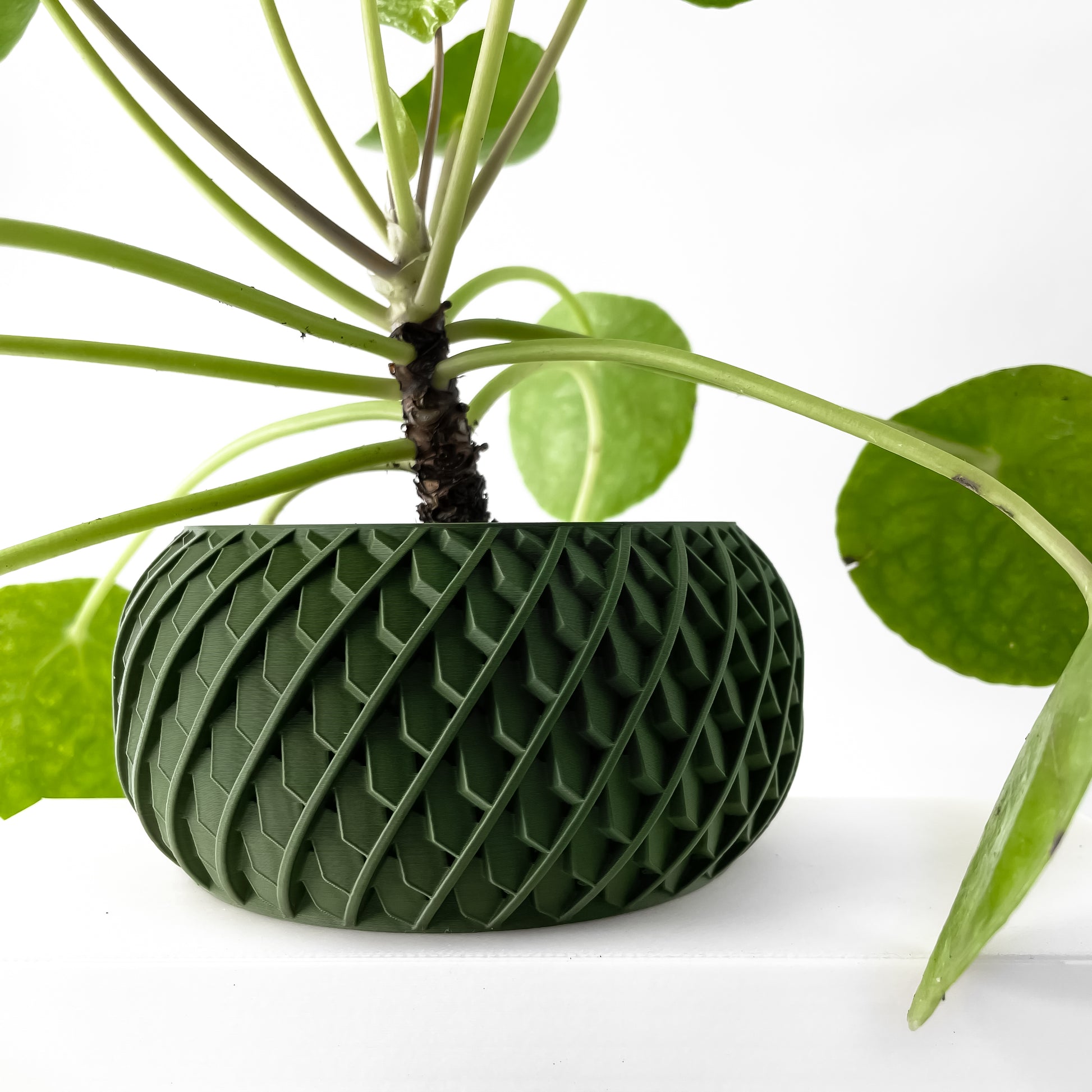 Designer W13 Bloempot
