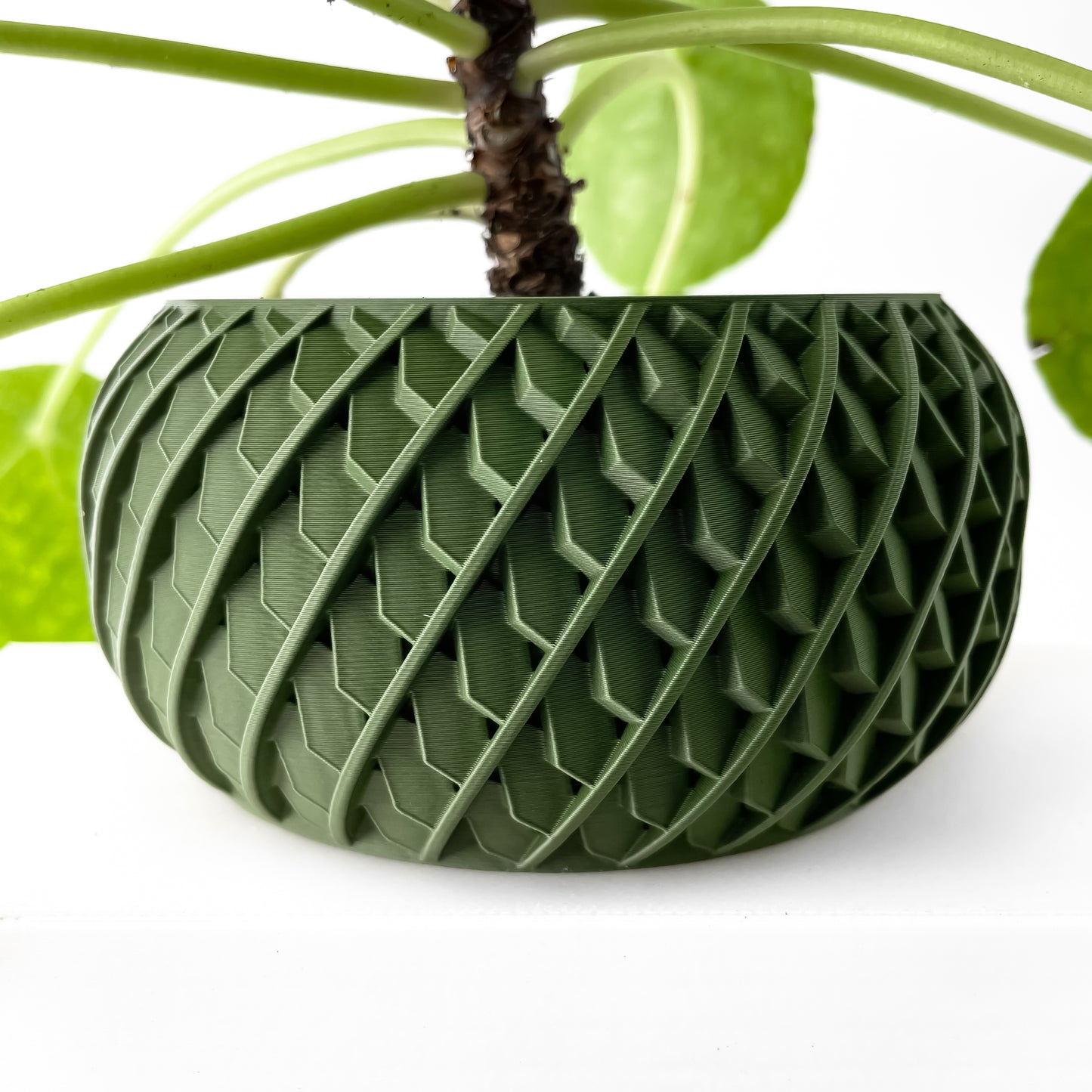 Designer W13 Bloempot