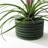 Skushy W19 Bloempot