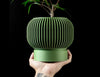 Skushy Yuso 02 Bloempot