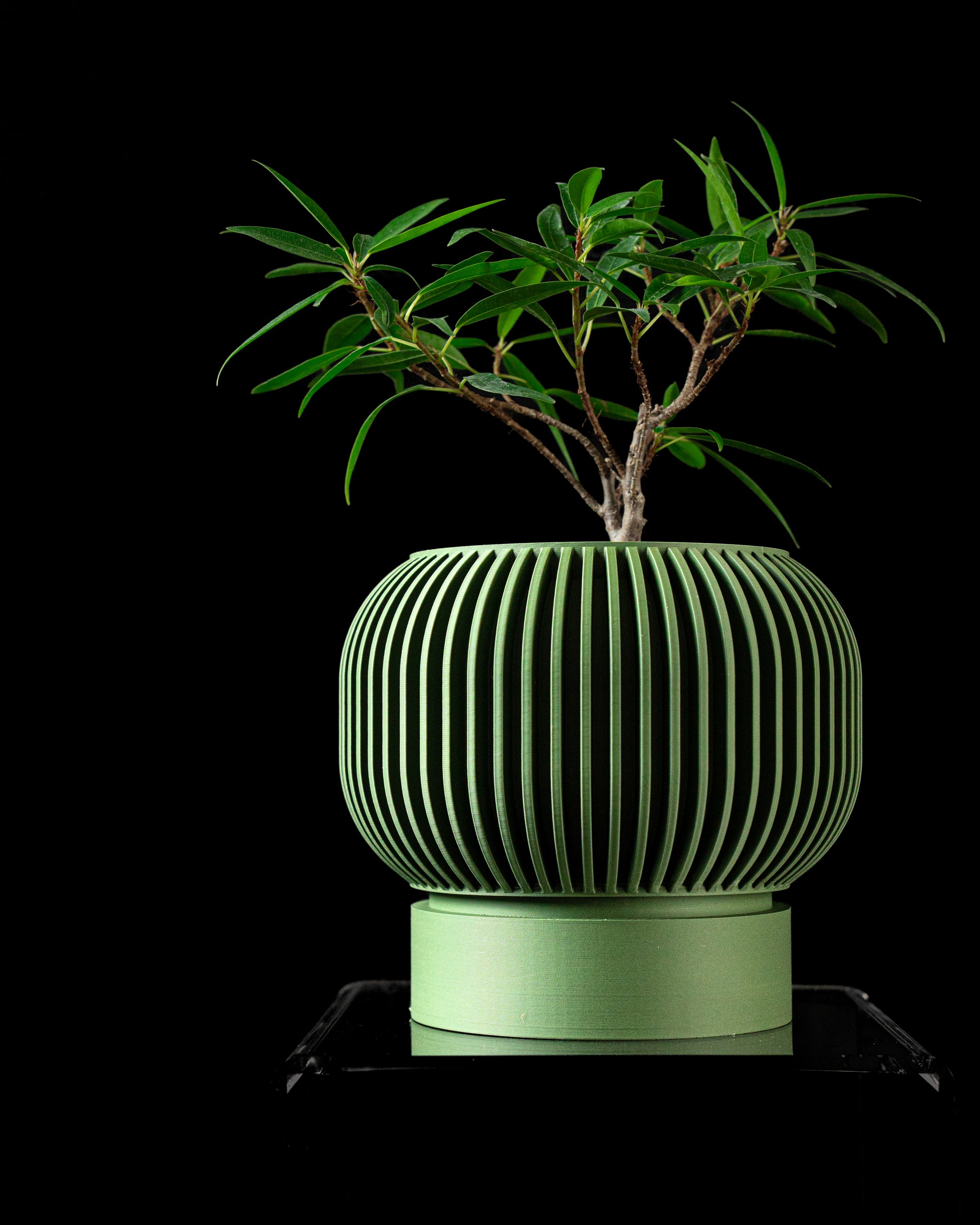Skushy Yuso 02 Bloempot